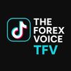 the.forex.voice