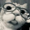 kan_zaa8