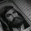 asz_558