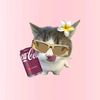 user5601004526810