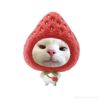 user328393004tiktok.comu