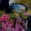 travelwithaysel