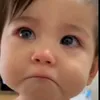 jhgvfdjfc