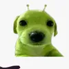 lilyzicaz