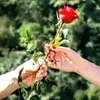 phung.phung50