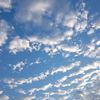 naturevibes284