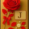user9379551087514