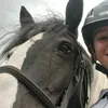 charlotteandthehorses1