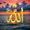 mussashafi2