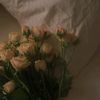 maram.alrwahi