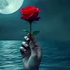 user336100444615
