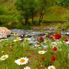 ousma.sandi
