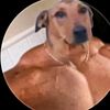 jonathan_aa08