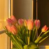 pinkflower640