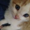 ᵒᵏᵎ