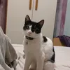 julianaalves5644