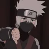 user8238483776947