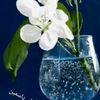 elyasamine5