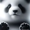 jbee1232