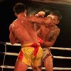 fight.zone.mma