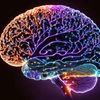 neuro.novascience