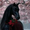 user96119262368600