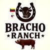 bracho.ranch