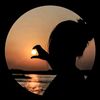 nourin.nished.rotn