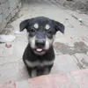 th.duongg_213