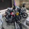 beritaangkasa8