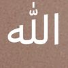 ننشر على ماير ضى الله