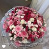 lina_5702