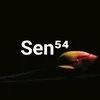 sen54n