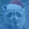 thefamoussraccoon