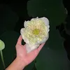 Trần Đức Lương