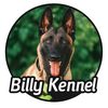 billydog_breeds