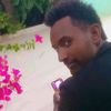 abdu31565
