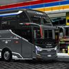 bussidedit