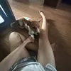 kieulihctes1