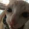 htkn_.110
