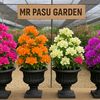 mr.pasu.garden