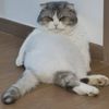 petlover5970