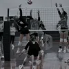 voleibol99
