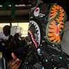 fvnold8