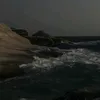 zicv_z