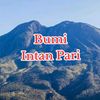wong.karanganyar3