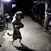 vpotoke021