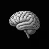 MindFlow