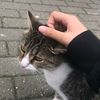 ig_dtniatii