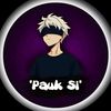 pauk.si520